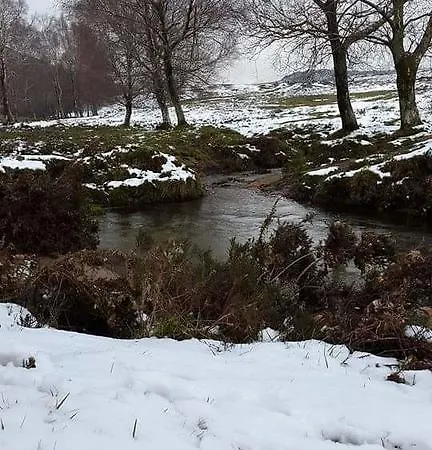 Farm stay Casa Da Corga *