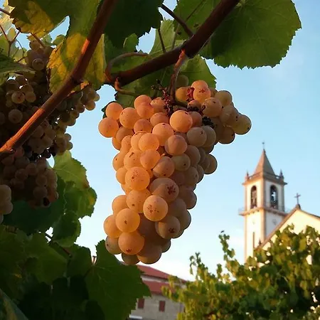 Casa Da Corga Farm stay Portela (Viana do Castelo)