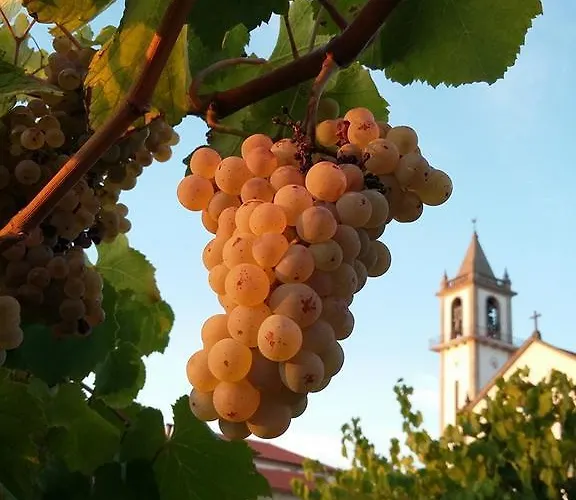 Casa Da Corga Farm stay Portela (Viana do Castelo)