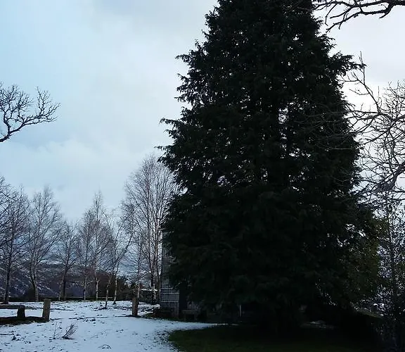 Casa Da Corga Feriegård Portela (Viana do Castelo)